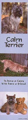 photo of Cairn Terrier Bookmark