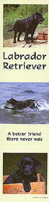 photo of Black Labrador Bookmark