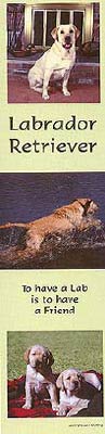 photo of Golden Labrador Bookmark