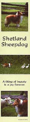 photo of Shetland Sheepdog Bookmark