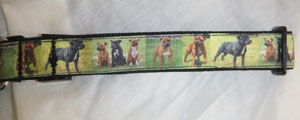 photo of Dogue de Bordeaux Printed Collar - 25mm Band Width