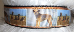 photo of Printed Collar - Border Terrier
