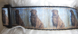 photo of Printed Collar - Chocolate Labrador