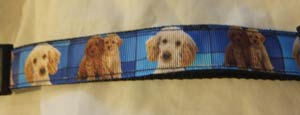 photo of Printed Collar - Labradoodle