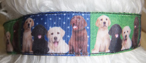 photo of PPrinted Collar - Labrador Multi