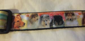 photo of Printed Collar - Sheltie