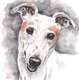 photo of Greyhound Pair greetings card