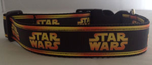 photo of dog collar - Starwars with Gold Band
