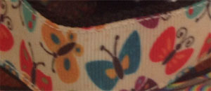 photo of dog collar - multi-coloured butterflies