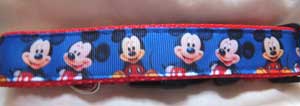 photo of Mickey Mouse Collar