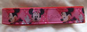 photo of Minnie Mouse Collar