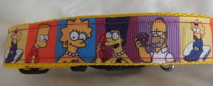 photo of the Simpsons Collar