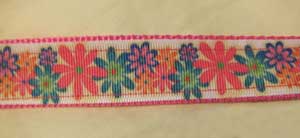 photo of Colourful Daisy on Pink Webbing Collar