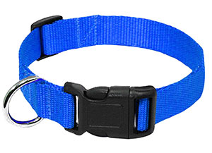 photo of Blue Nylon Collar with quick release clip