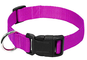 photo of Purple Nylon Collar with quick release clip