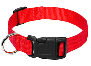 photo of Red Nylon Collar with quick release clip