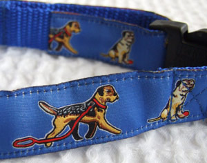 photo of Border Terrier Blue Woven Collar