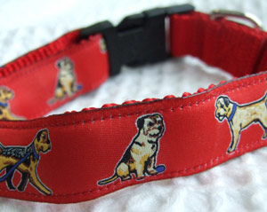 photo of Border Terrier Red Woven Collar