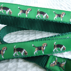photo of Beagle Lead - Green Woven