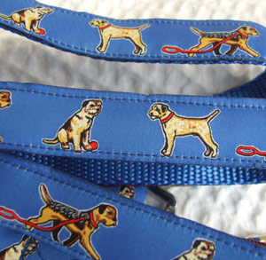 photo of Border Terrier Blue Woven Lead