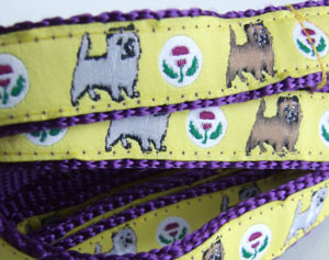 photo of Cairn Terrier Yellow on Purple Woven Lead