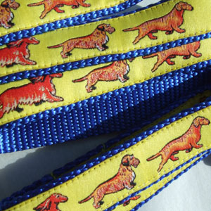 photo of Standard Dachshund Yellow on Blue Woven Lead