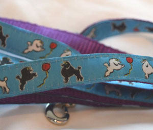 photo of Toy Poodle Blue Woven Lead