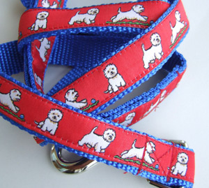 photo of Westie Red on Blue Woven Collar