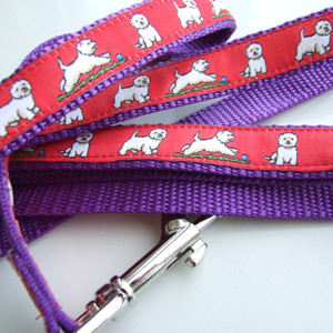 photo of Westie Red on Purple Woven Collar