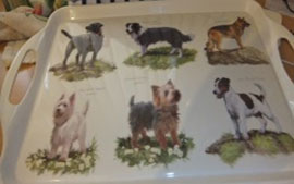 photo of melamine tray with 6 dog pictures