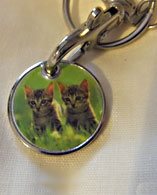 photo of Kittens Trolley Coin