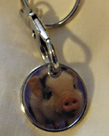 photo of Pig Trolley Coin