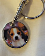 photo of Puppy Trolley Coin