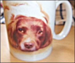 photo of brown and white Springer Spaniel mug