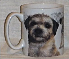 photo of Border Terrier Pup mug