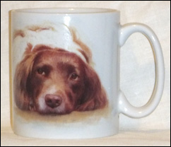 photo of brown/white springer spaniel mug