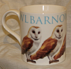 photo of Barn Owl Chunky Mug