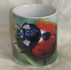 photo of Ladybird Mug