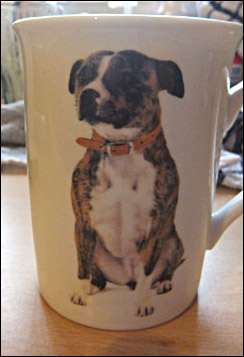 photo of brindle staffordshire bull terrier mug