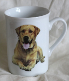 photo of Golden Labrador mug