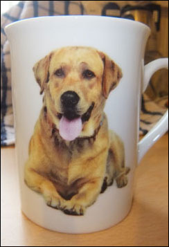 photo of Golden Labrador mug