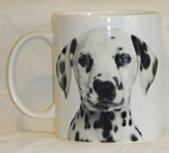 photo of Dalmatian Mug