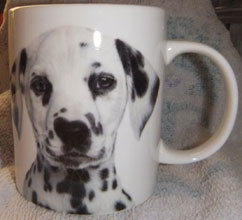 photo of Dalmatian Head Mug