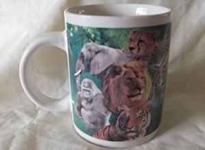 photo of Safari Mug
