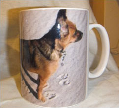 photo of Patterdale Terrier mug