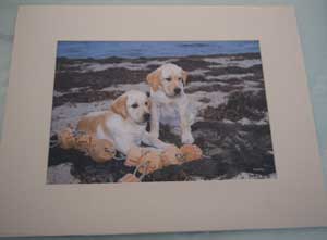 photo of photo of Yellow Labradors No 5 mounted