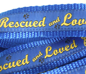 photo of Woven Lead - Rescued and Loved - Blue - Medium+