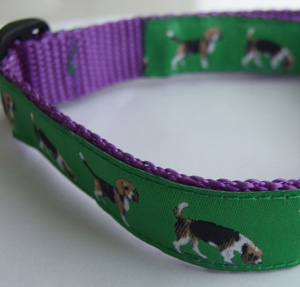 photo of Beagle Green on Purple Woven Collar