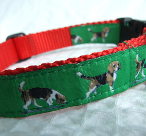 photo of Beagle Collar - Green on Red Woven