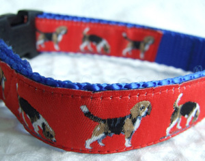 photo of Beagle Collar - Red on Blue Woven